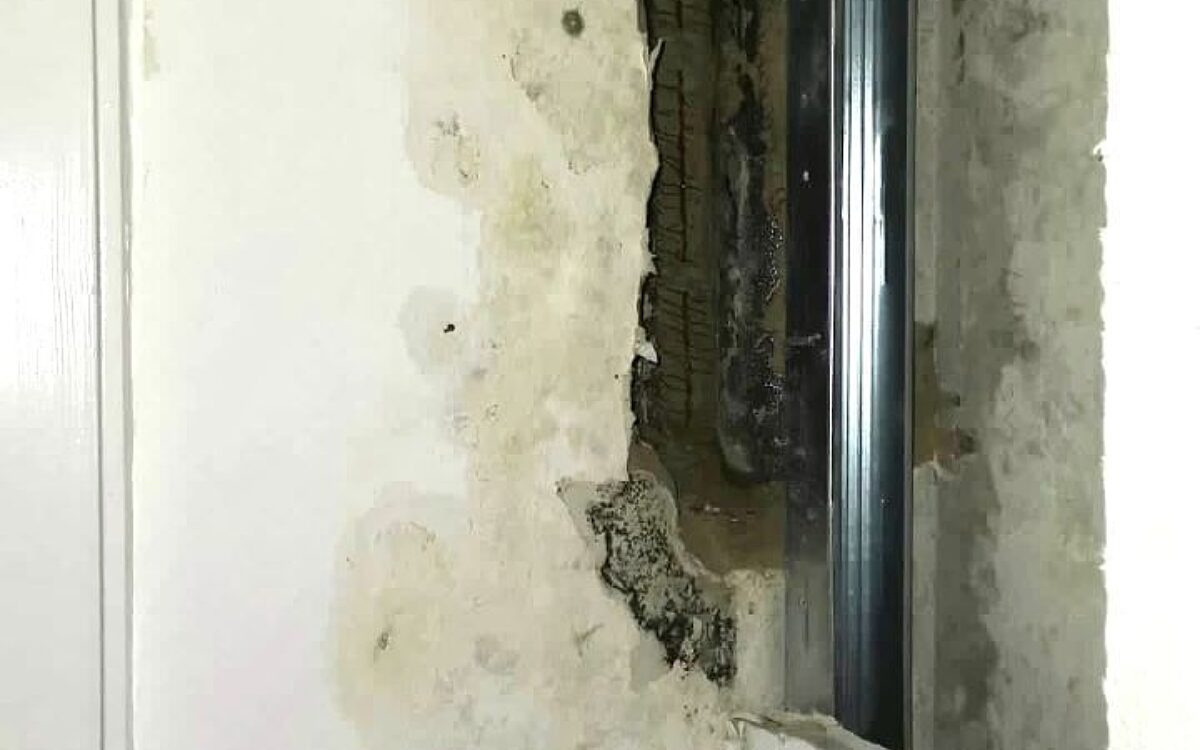 Schimmel in der Wohnung Schimmel in der Wohnung