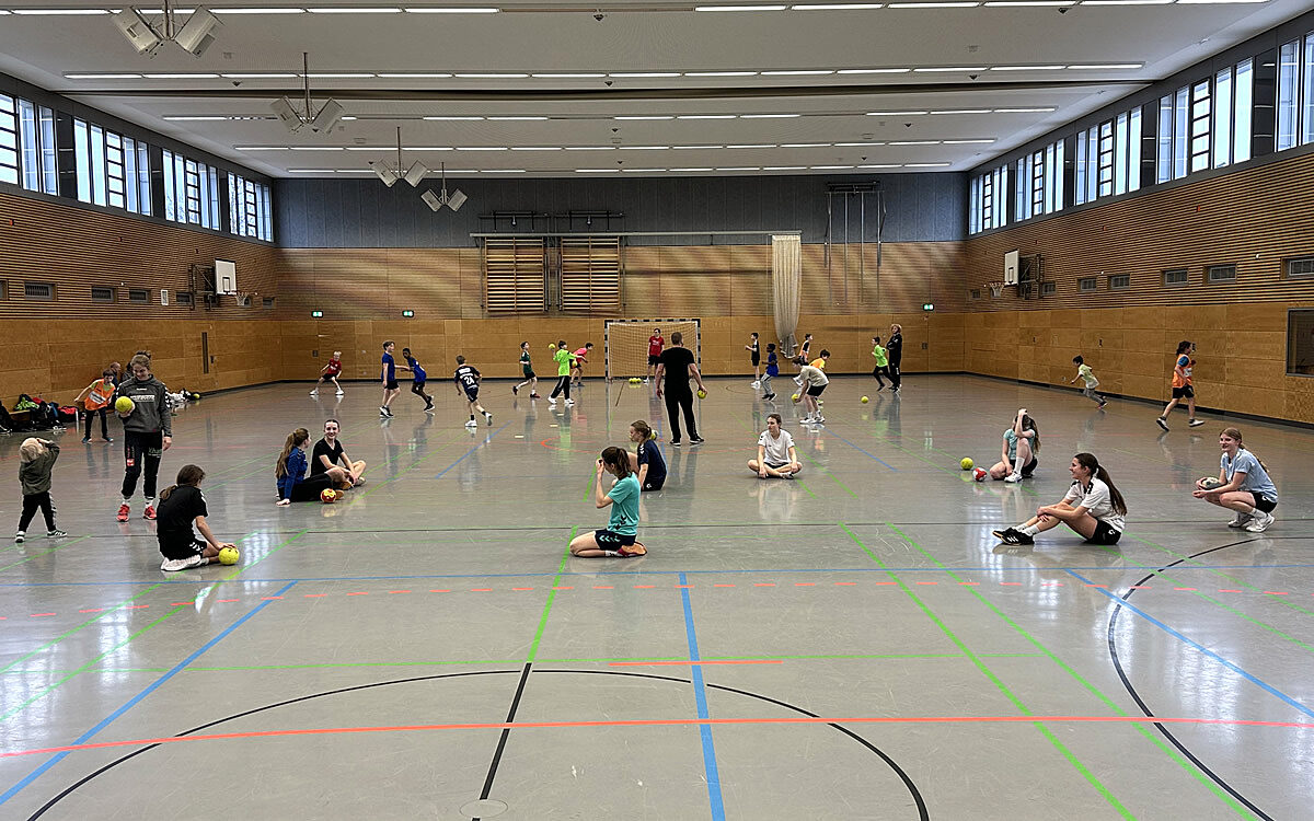 Sportverein handball 01 Sportverein handball 01