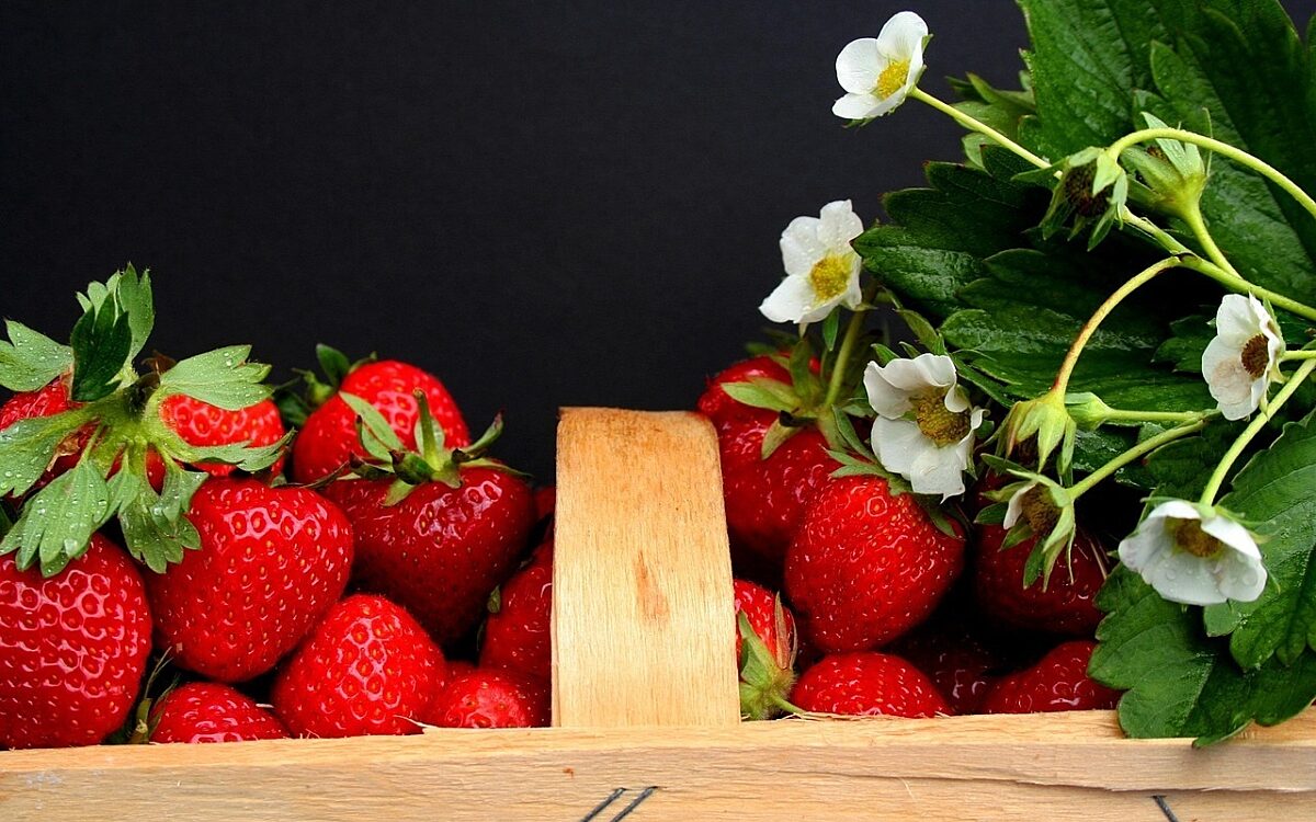 Strawberries 2105656 1280 Strawberries 2105656 1280