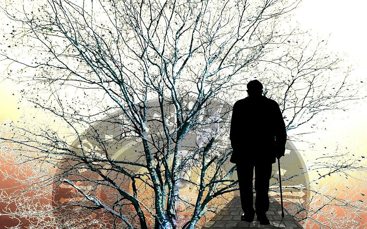 Tree 97986 1280 Tree 97986 1280