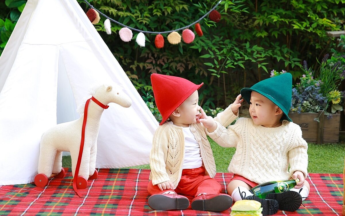 Twins zwillinge pixabay Twins zwillinge pixabay