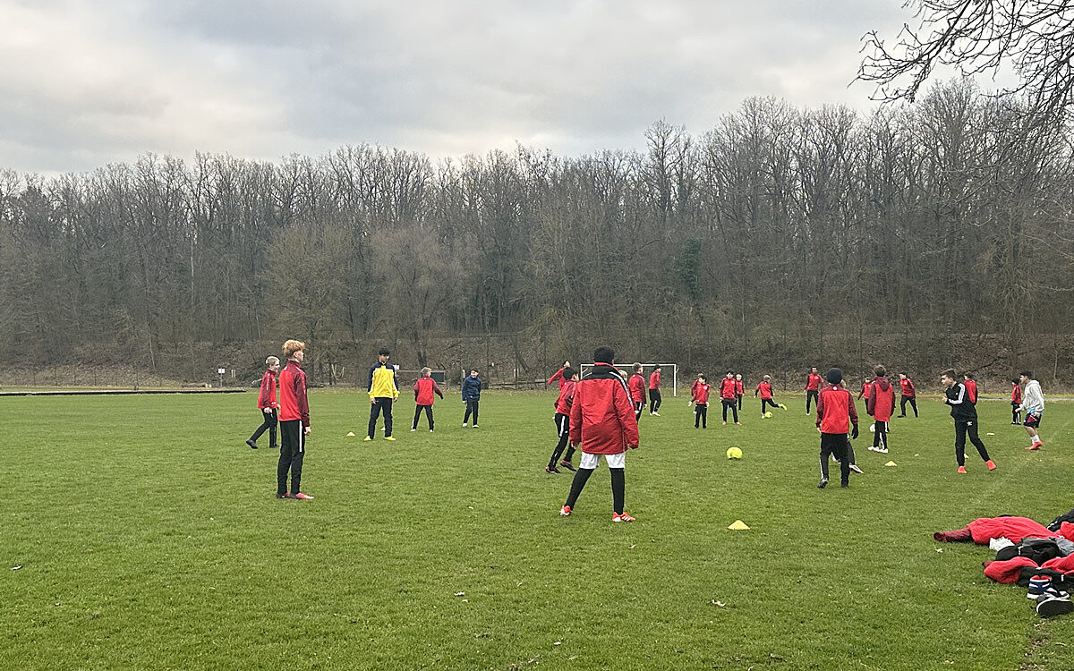 Verein JFG Maindreieck 02 Verein JFG Maindreieck 02