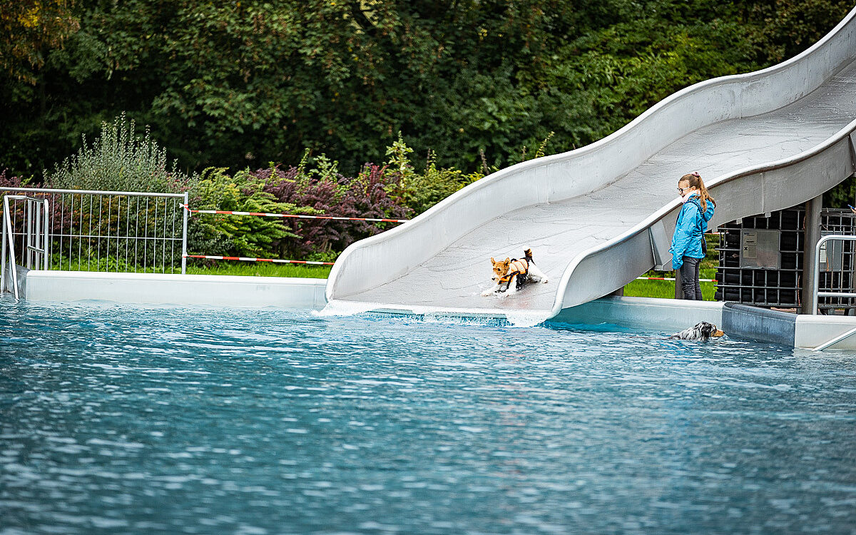 2022 10 01 Hundeschwimmen Dalle 27 2022 10 01 Hundeschwimmen Dalle 27