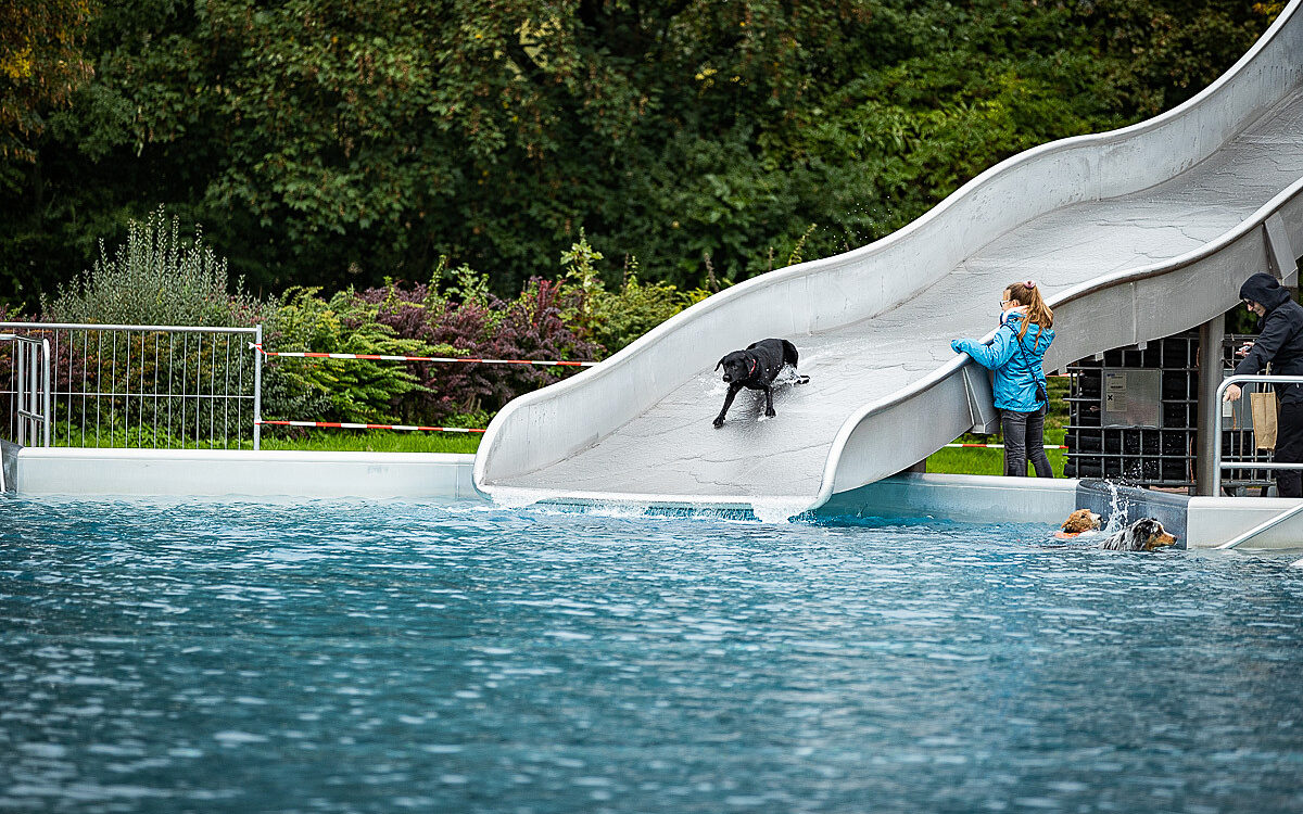2022 10 01 Hundeschwimmen Dalle 28 2022 10 01 Hundeschwimmen Dalle 28