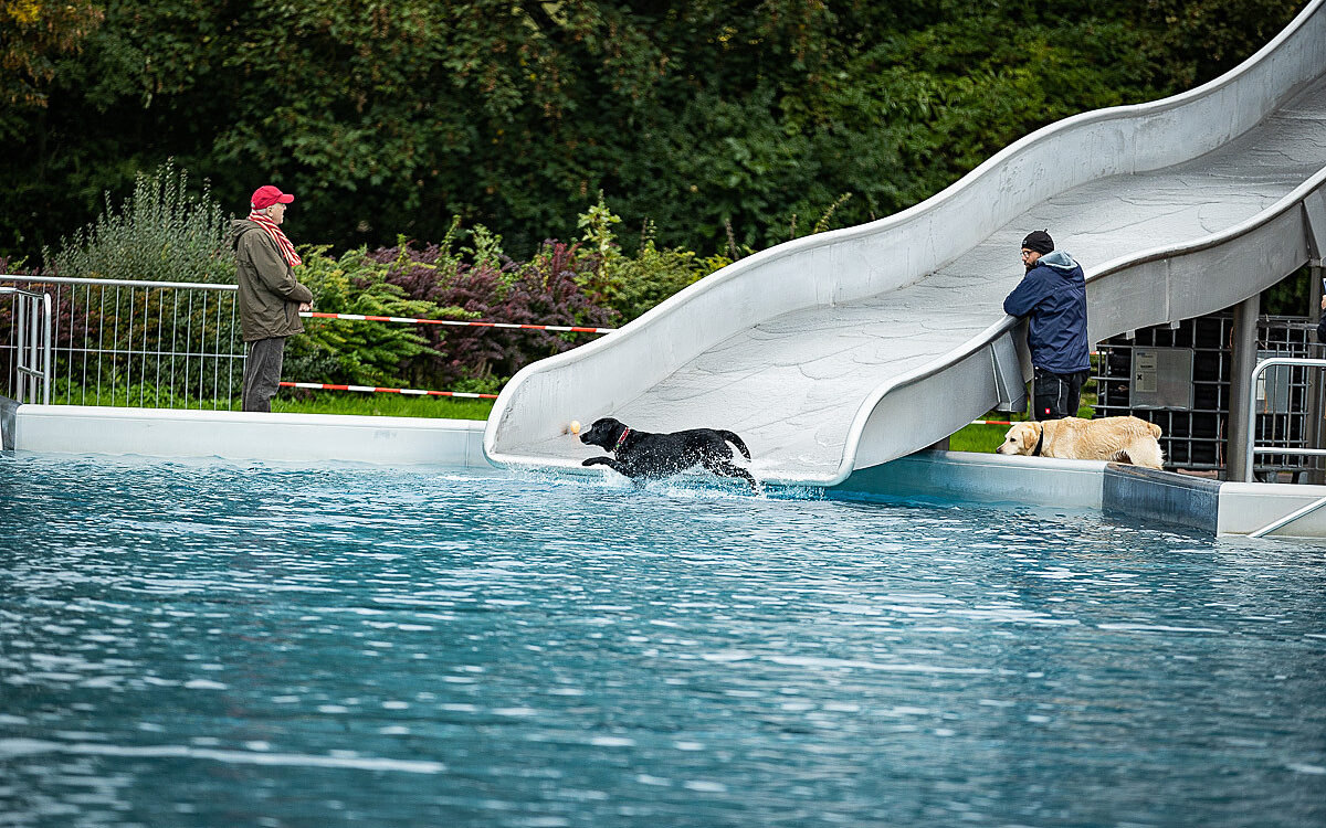 2022 10 01 Hundeschwimmen Dalle 35 2022 10 01 Hundeschwimmen Dalle 35