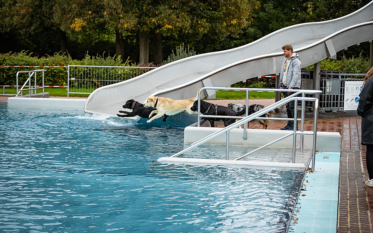 2022 10 01 Hundeschwimmen Dalle 46 2022 10 01 Hundeschwimmen Dalle 46