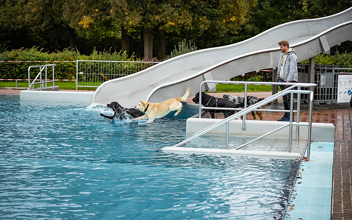 2022 10 01 Hundeschwimmen Dalle 47 2022 10 01 Hundeschwimmen Dalle 47