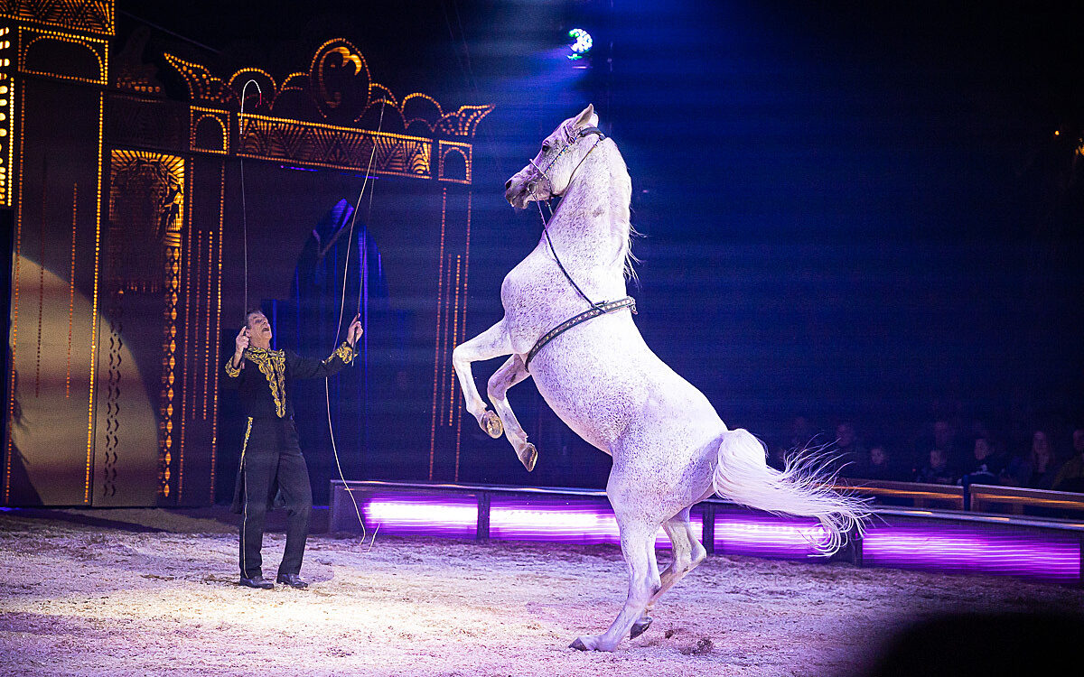 2022 12 15 Circus Krone Premiere 32 2022 12 15 Circus Krone Premiere 32