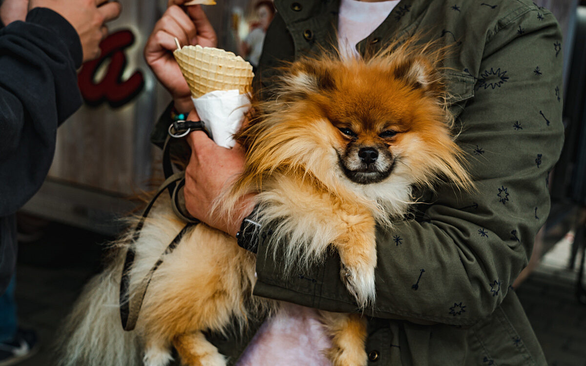 20220529 Streetfood Festival 49 20220529 Streetfood Festival 49