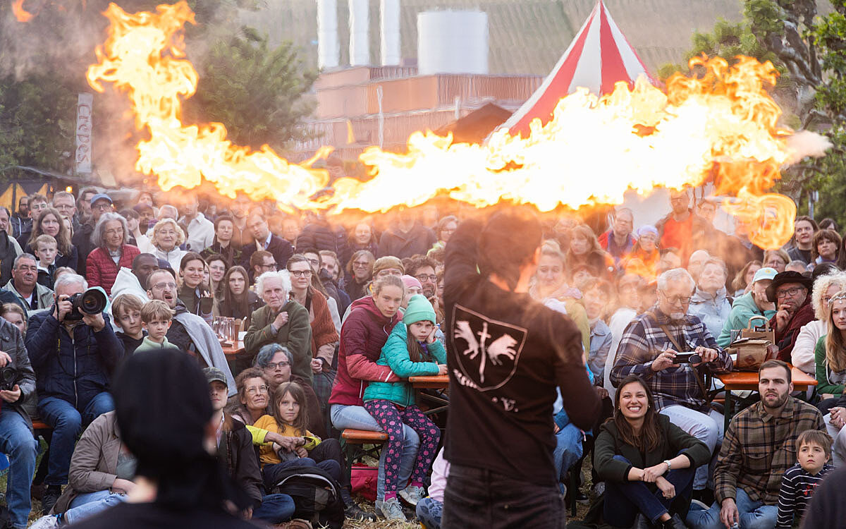 2025 05 23 mitelaltermarkt 34 2025 05 23 mitelaltermarkt 34