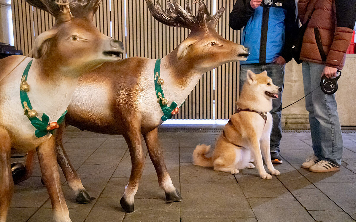 2025 11 14 buergerspital 3 2025 11 14 buergerspital 3