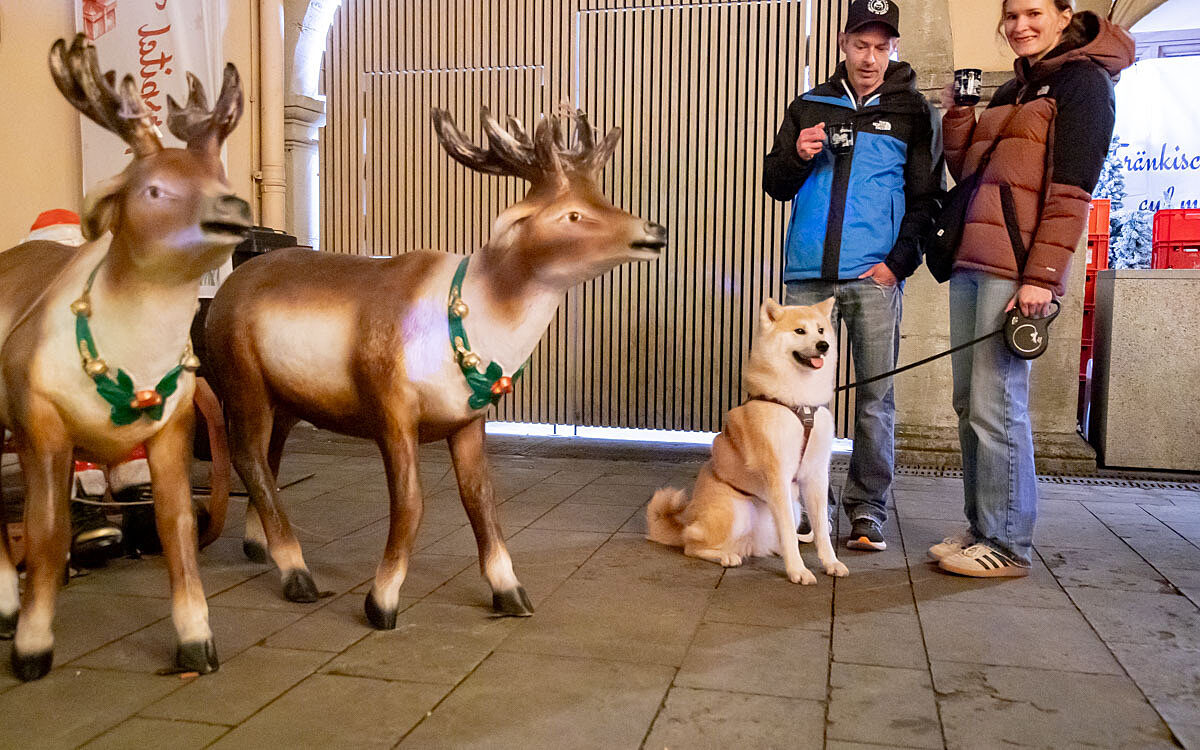 2025 11 14 buergerspital 4 2025 11 14 buergerspital 4