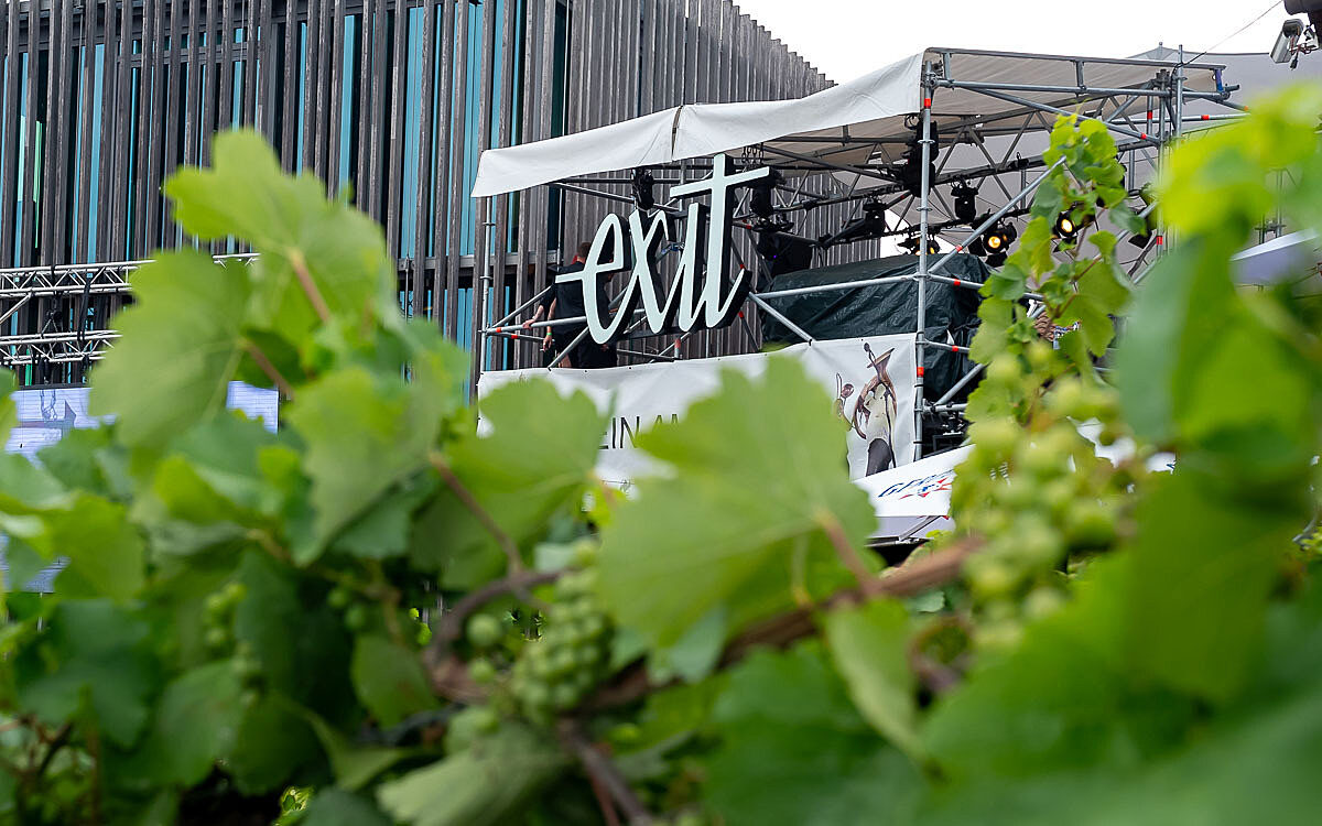 230723 wein am stein 01 230723 wein am stein 01