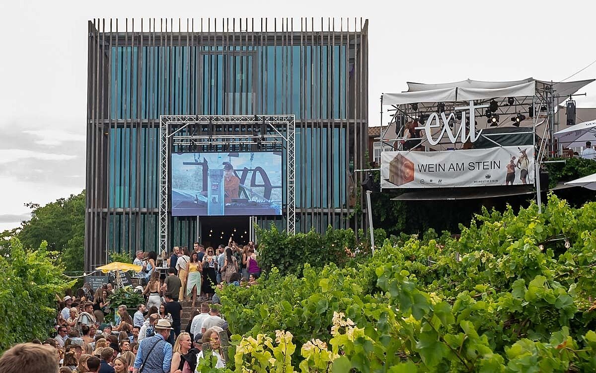230723 wein am stein 05 230723 wein am stein 05