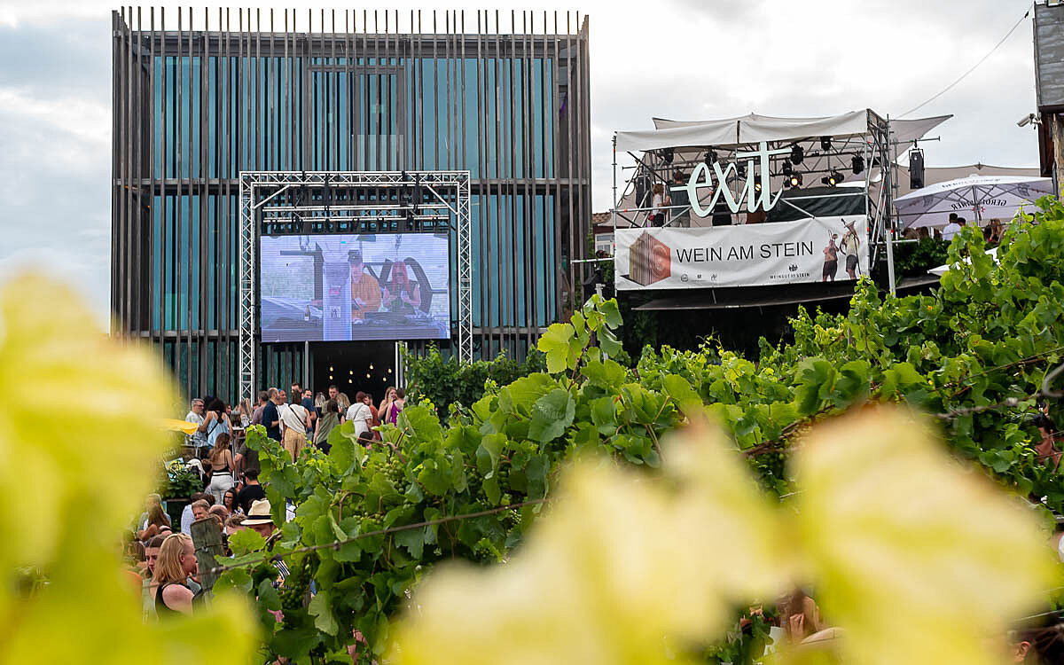 230723 wein am stein 06 230723 wein am stein 06