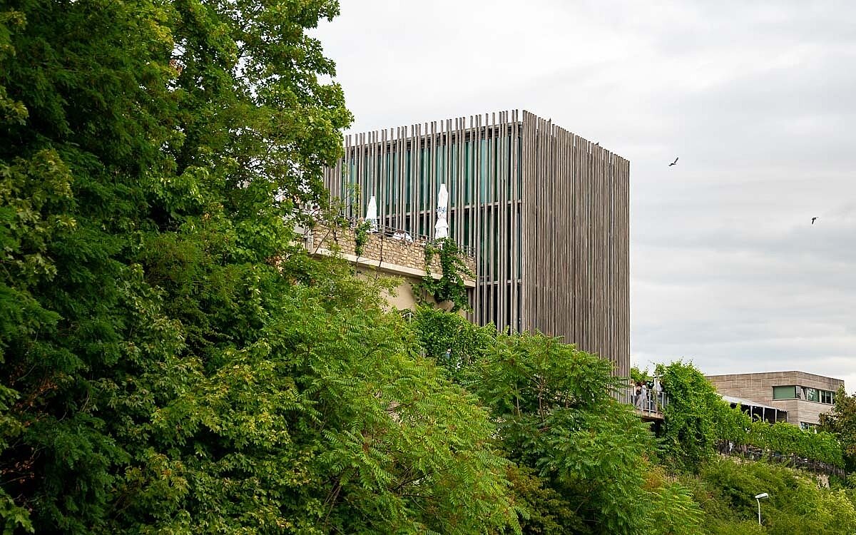 230723 wein am stein 2 01 230723 wein am stein 2 01