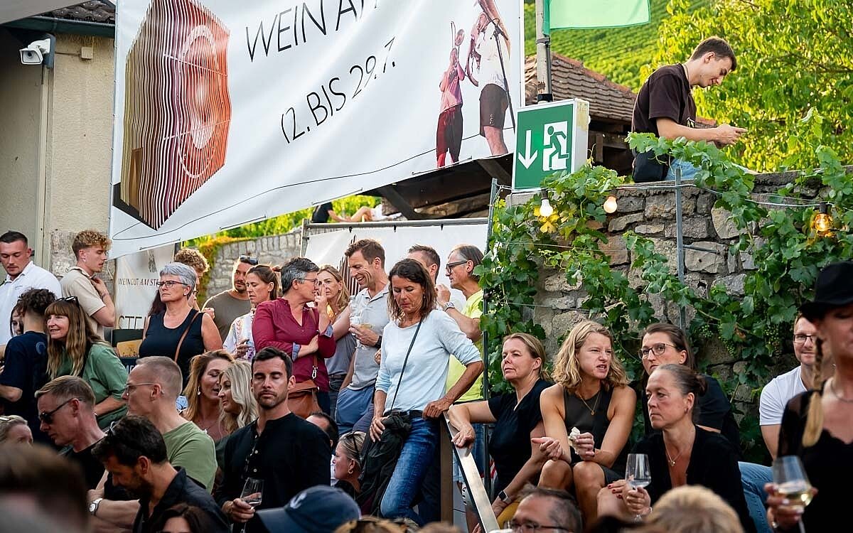 230723 wein am stein 2 09 230723 wein am stein 2 09