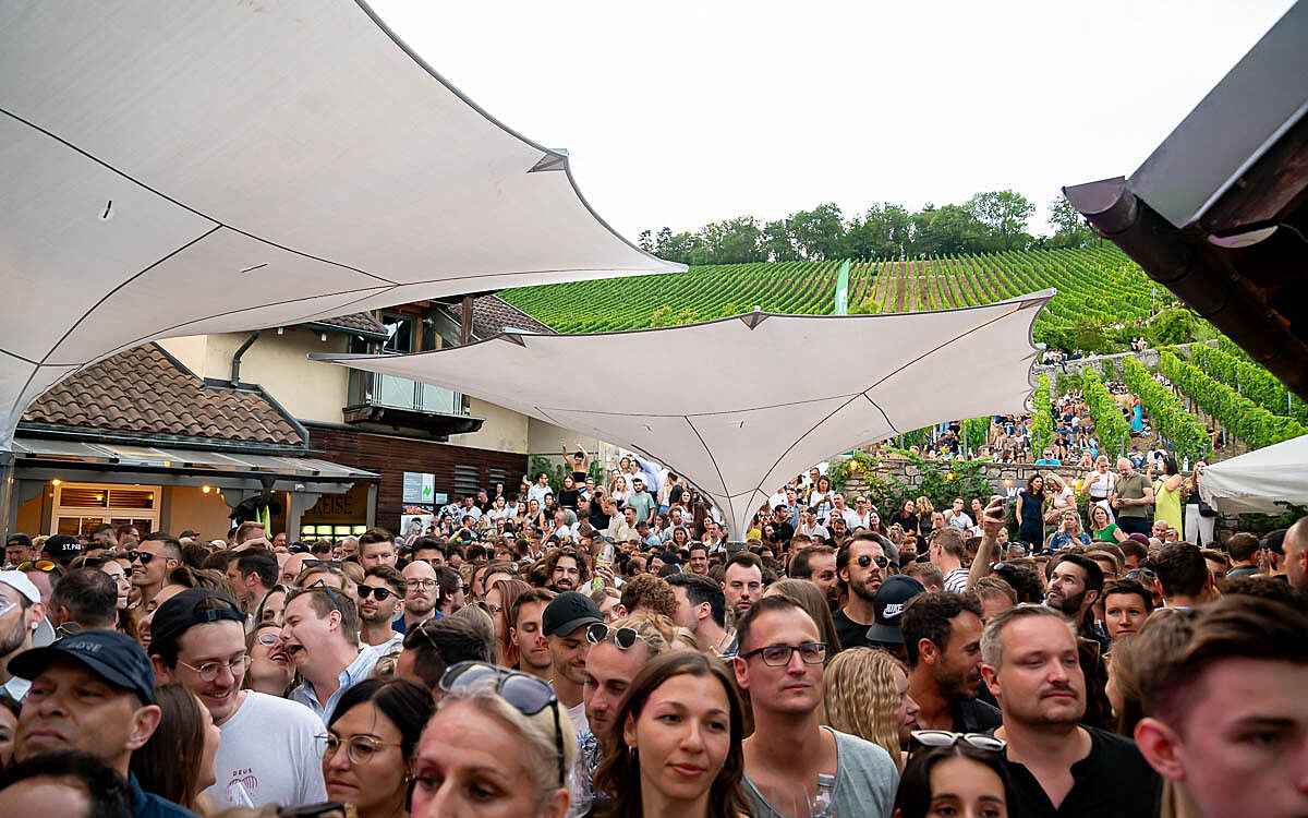 230723 wein am stein 2 13 230723 wein am stein 2 13