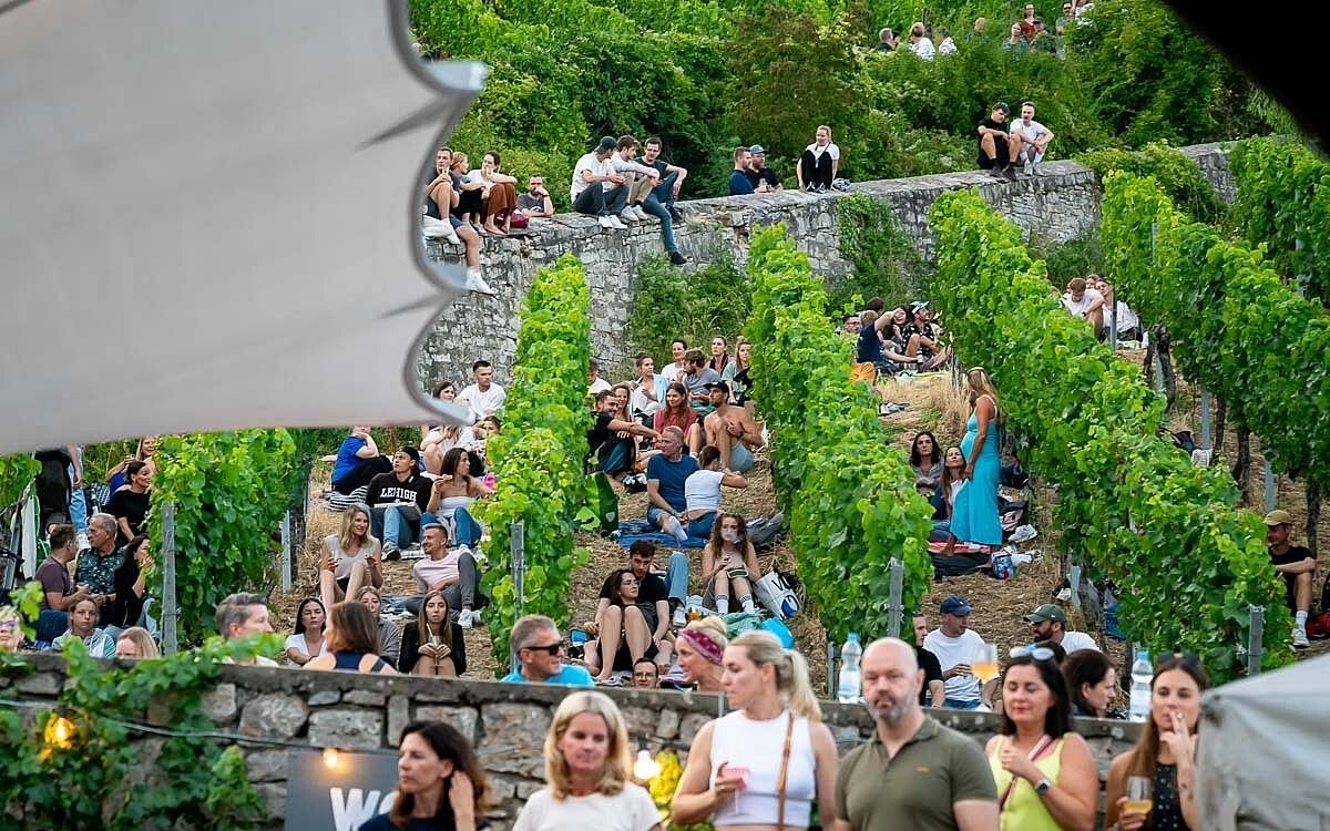 230723 wein am stein 2 14 230723 wein am stein 2 14