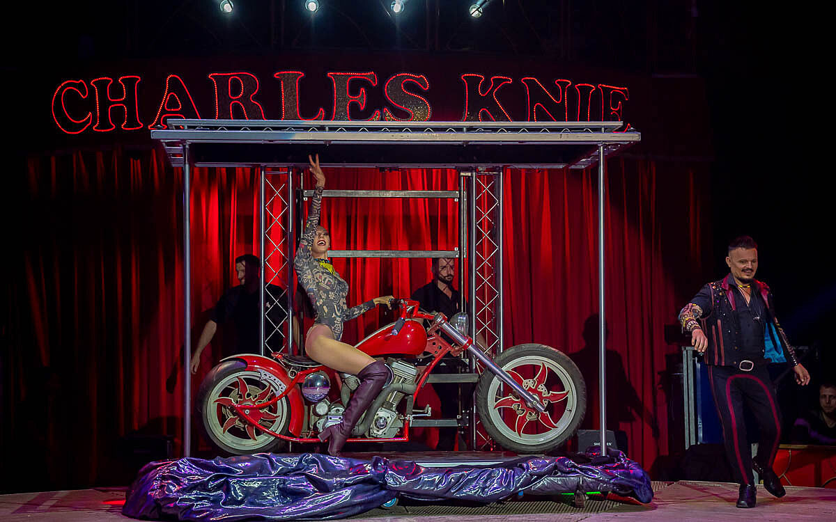 230907 zirkus knie t 13 230907 zirkus knie t 13