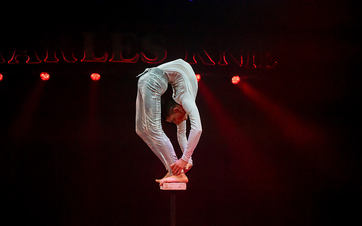 230907 zirkus knie t 24 230907 zirkus knie t 24