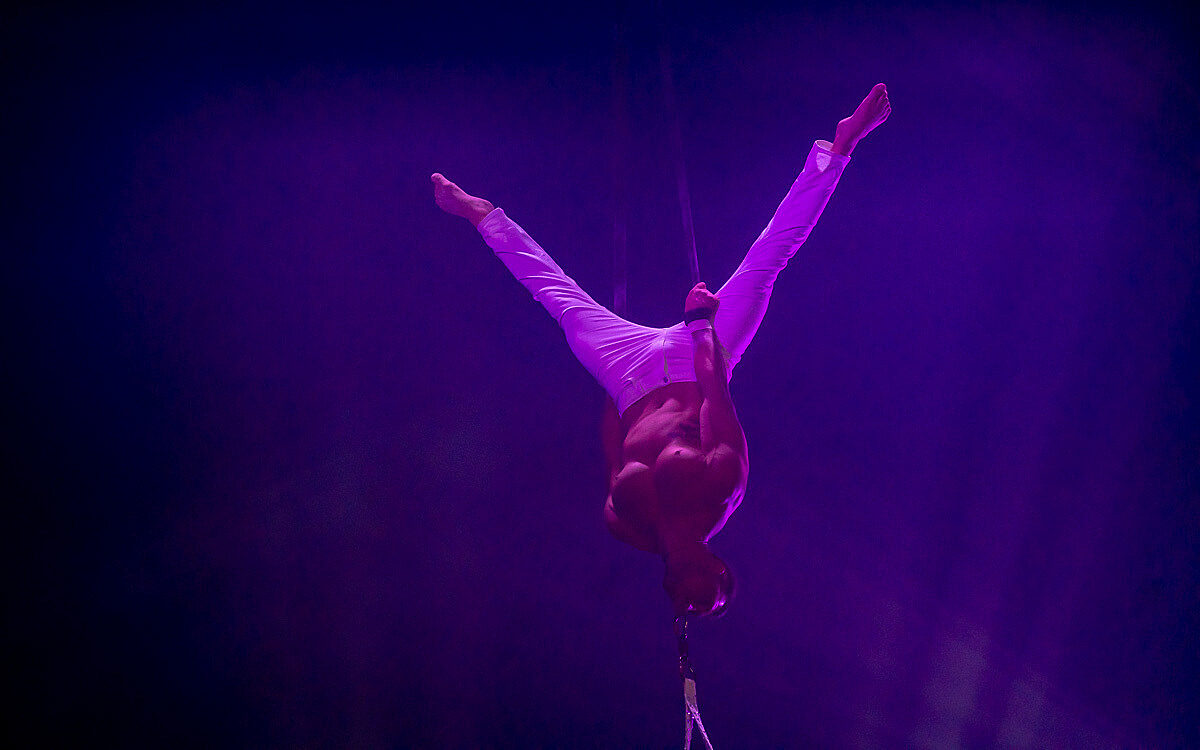 230907 zirkus knie t 30 230907 zirkus knie t 30