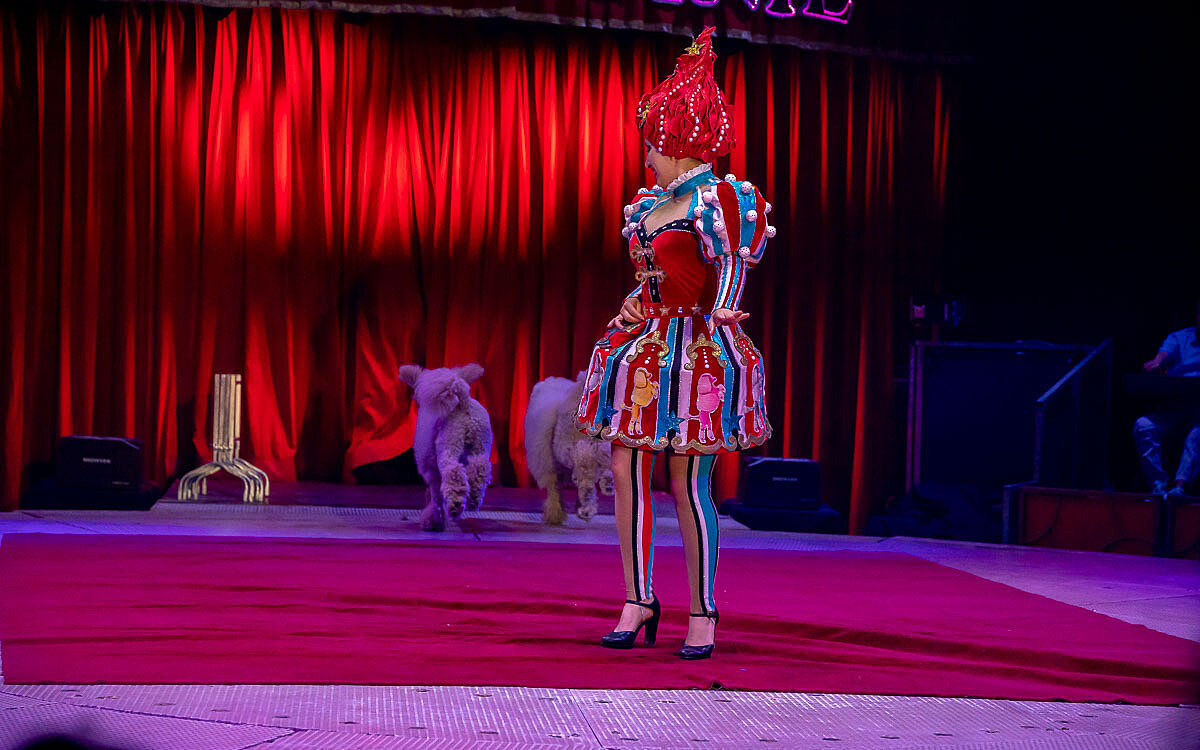 230907 zirkus knie t 58 230907 zirkus knie t 58