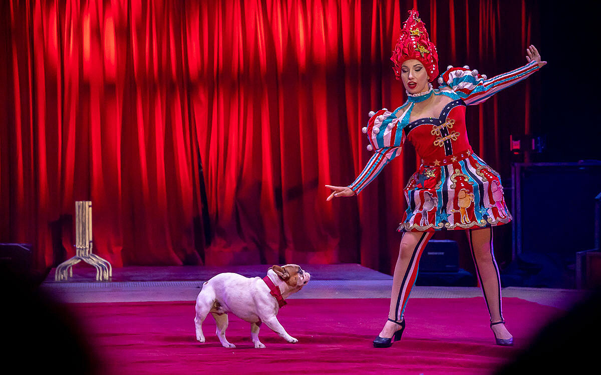 230907 zirkus knie t 59 230907 zirkus knie t 59