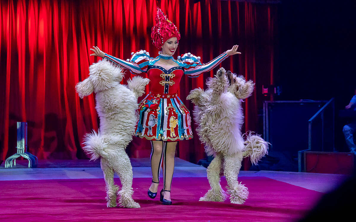 230907 zirkus knie t 61 230907 zirkus knie t 61