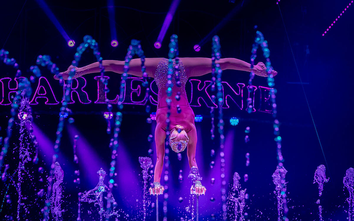 230907 zirkus knie t 71 230907 zirkus knie t 71