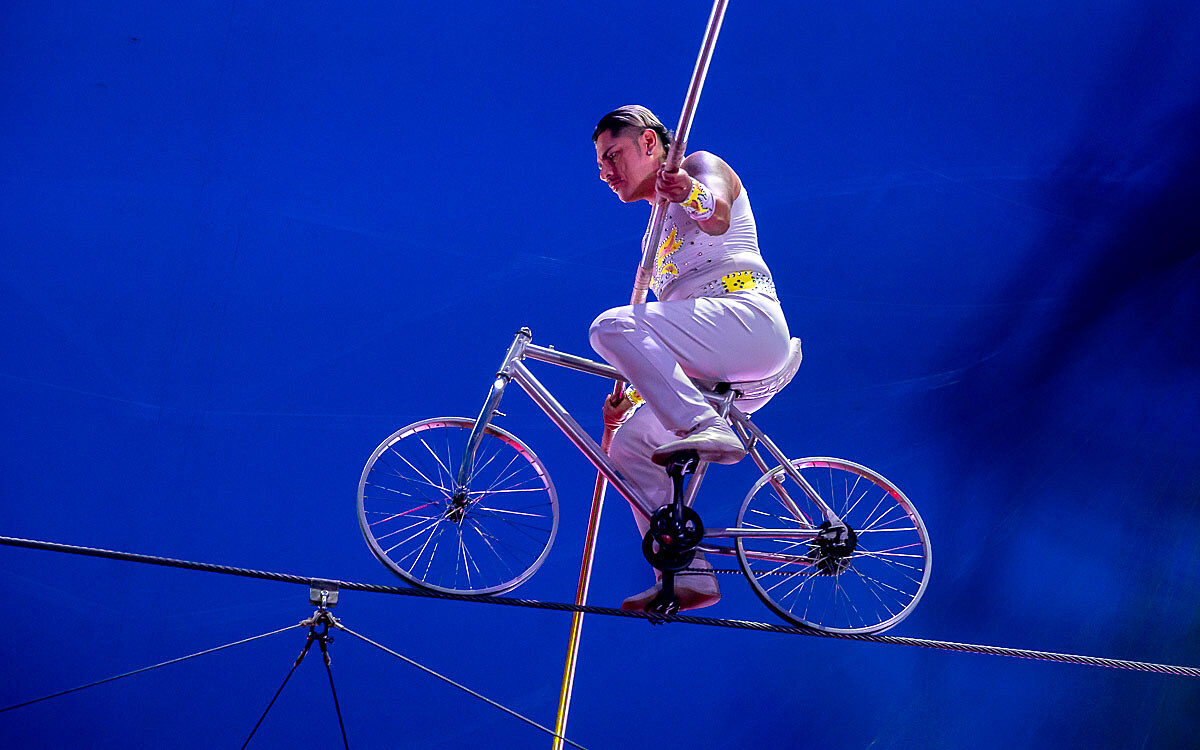 230907 zirkus knie t 79 230907 zirkus knie t 79