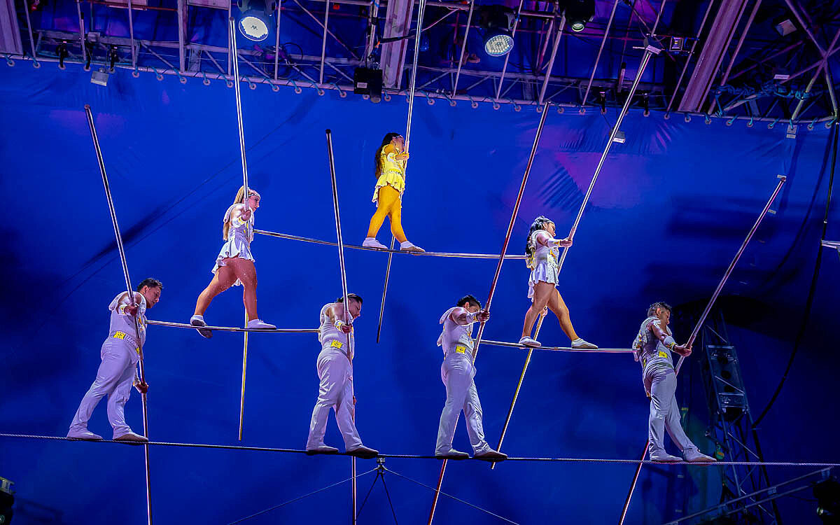 230907 zirkus knie t 83 230907 zirkus knie t 83