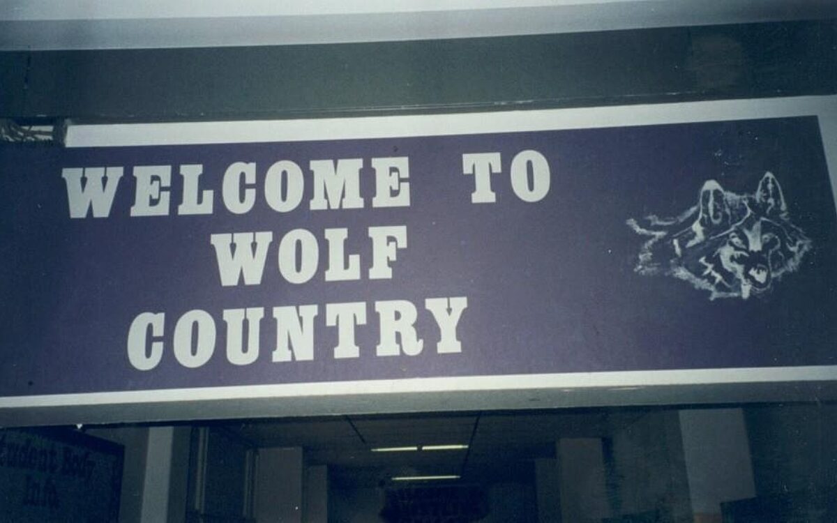 461105370 27020274337615914 246723271428129133 n 461105370 27020274337615914 246723271428129133 n