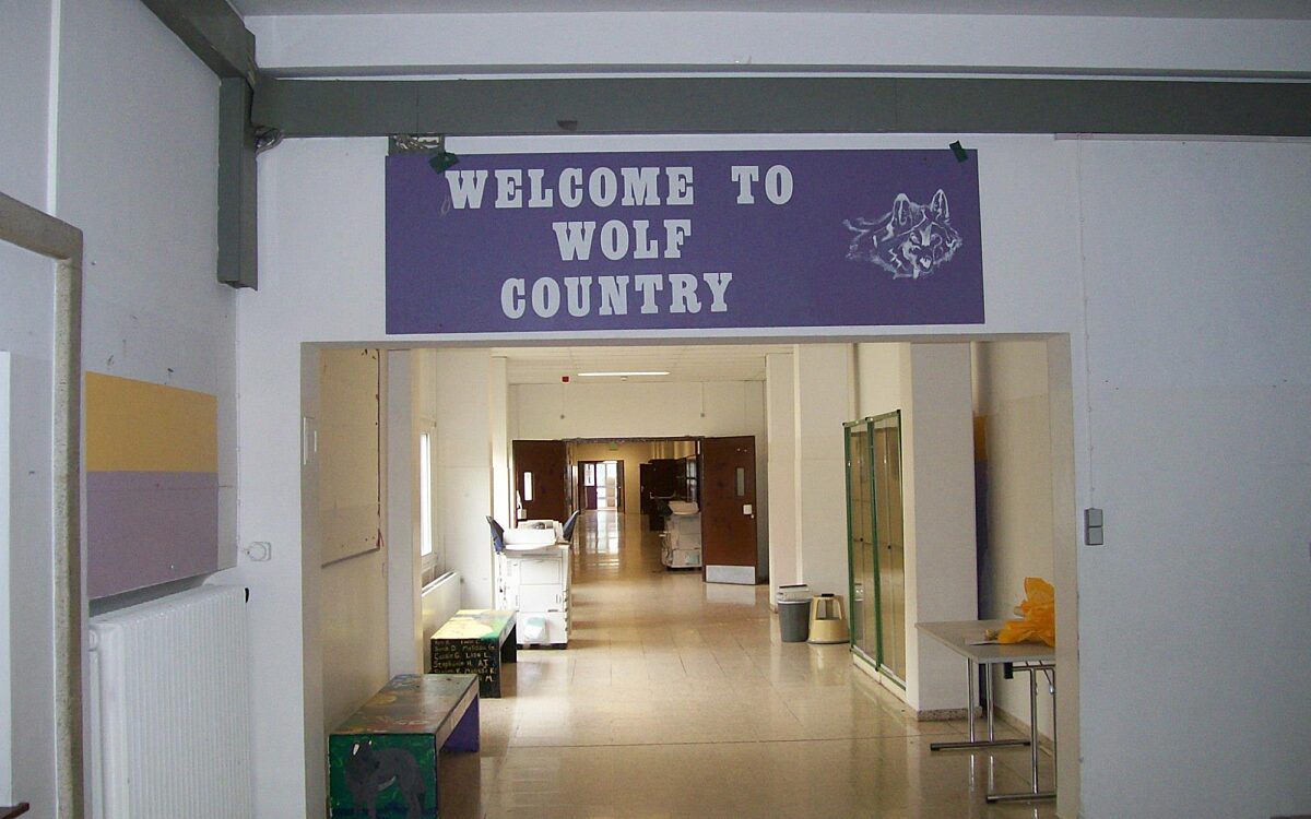 462617922 27295727300070615 9181384370124542426 n 462617922 27295727300070615 9181384370124542426 n