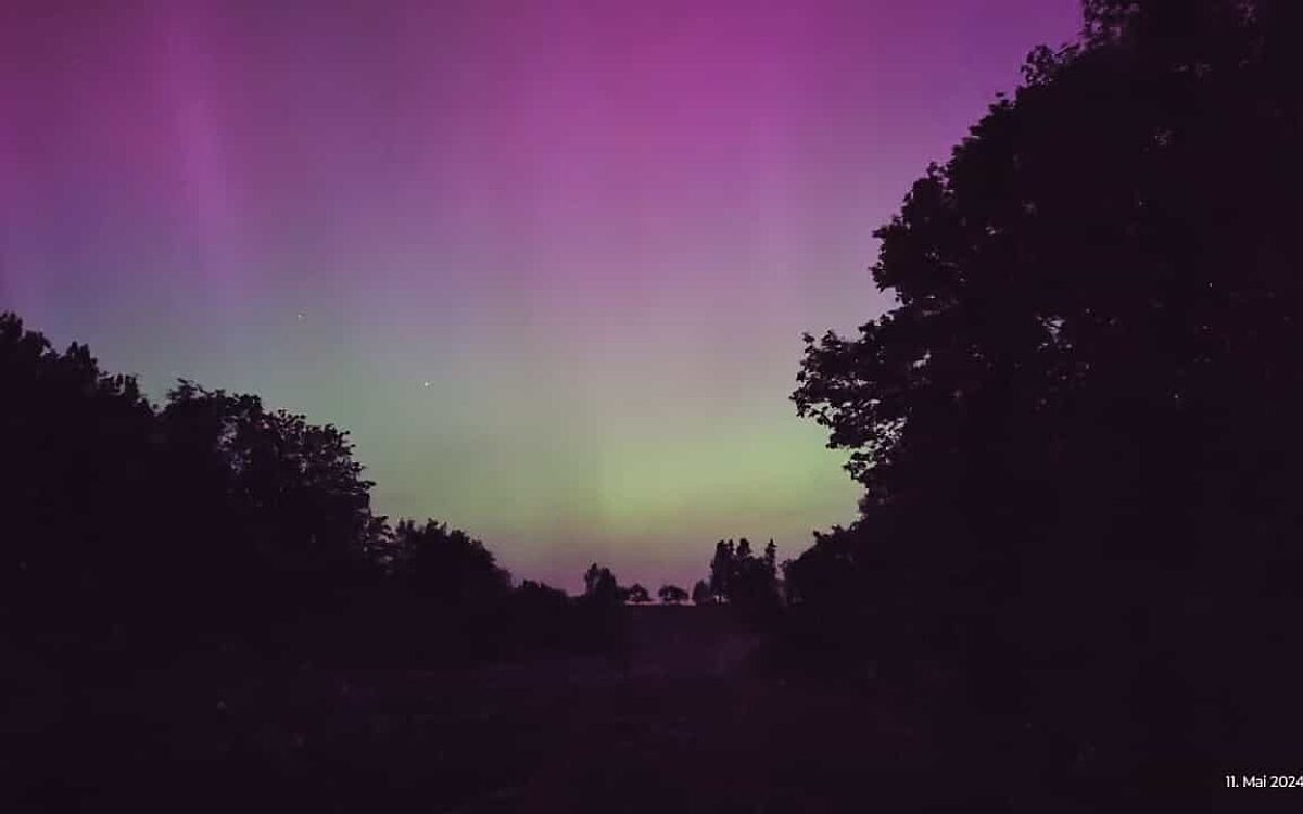 49 160 95050074 Roettingen 49 160 95050074 Roettingen