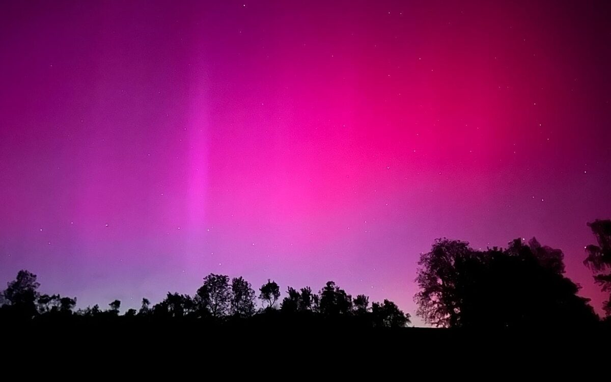 49 171 3205499 Estenfeld 49 171 3205499 Estenfeld