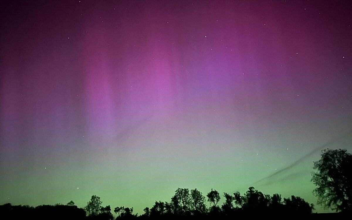 49 171 3205499 Estenfeld2 49 171 3205499 Estenfeld2