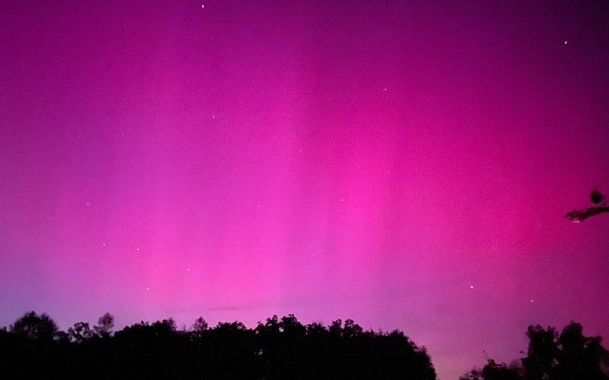 Angelina 49 1512 0751656 Lohr Angelina 49 1512 0751656 Lohr