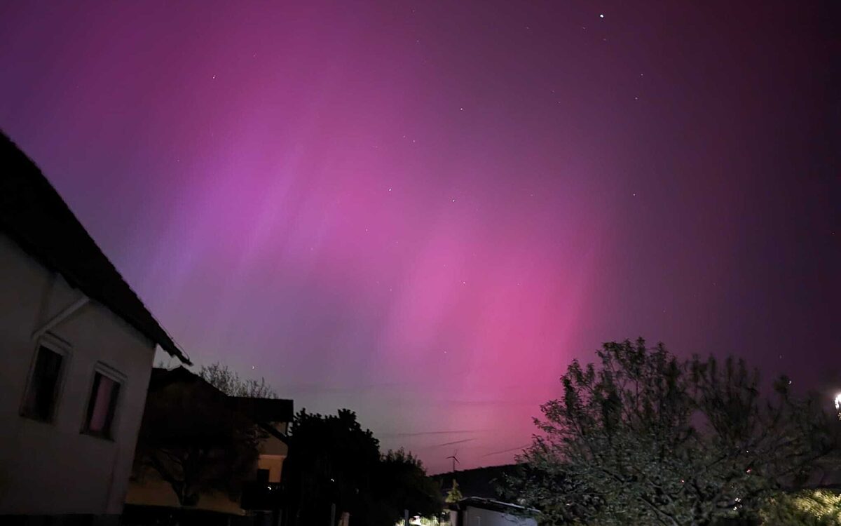 Bianca Sebastian 49 177 4615303 Neubrunn Bianca Sebastian 49 177 4615303 Neubrunn