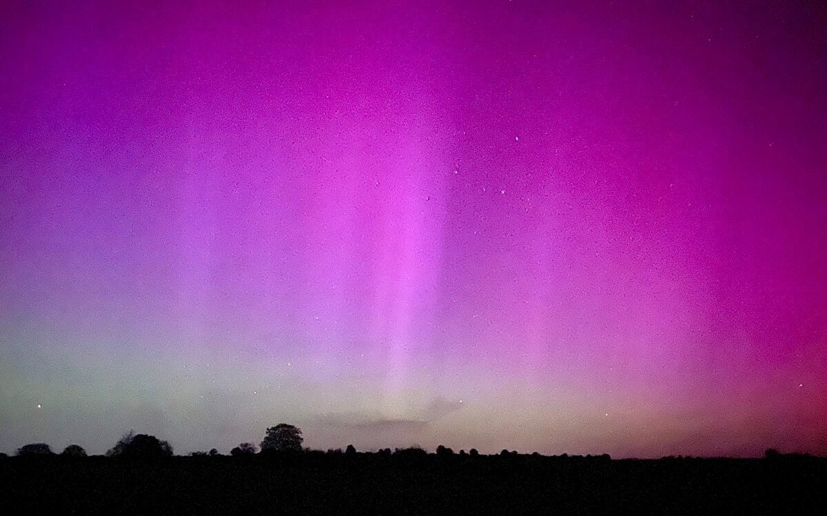 Cari 49 173 3738043 Randersacker Cari 49 173 3738043 Randersacker