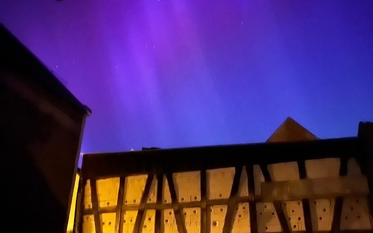 Guenni 49 1577 3024433 Remmlingen Guenni 49 1577 3024433 Remmlingen