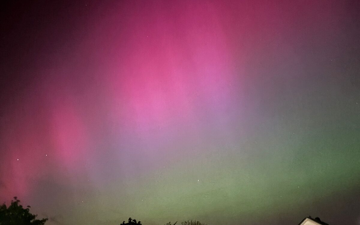 Katharina 49 1511 0301510 TBB Katharina 49 1511 0301510 TBB