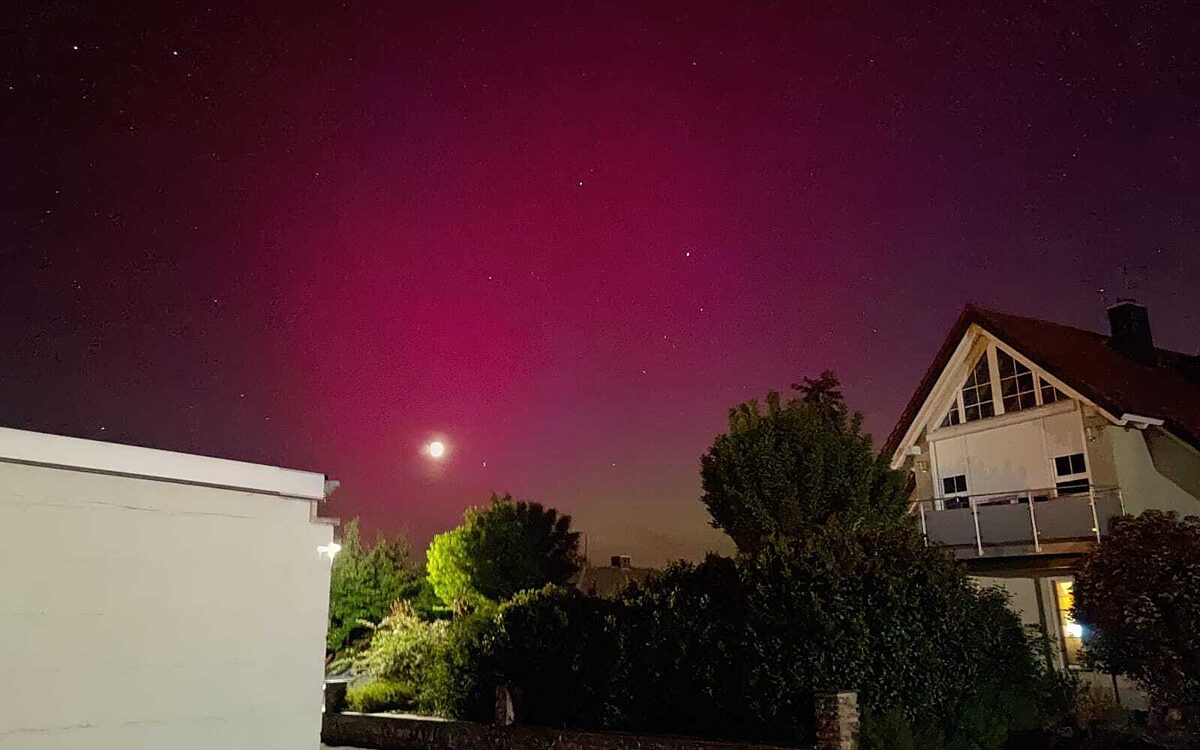 Markus 49 162 6490095 Geldersheim Markus 49 162 6490095 Geldersheim