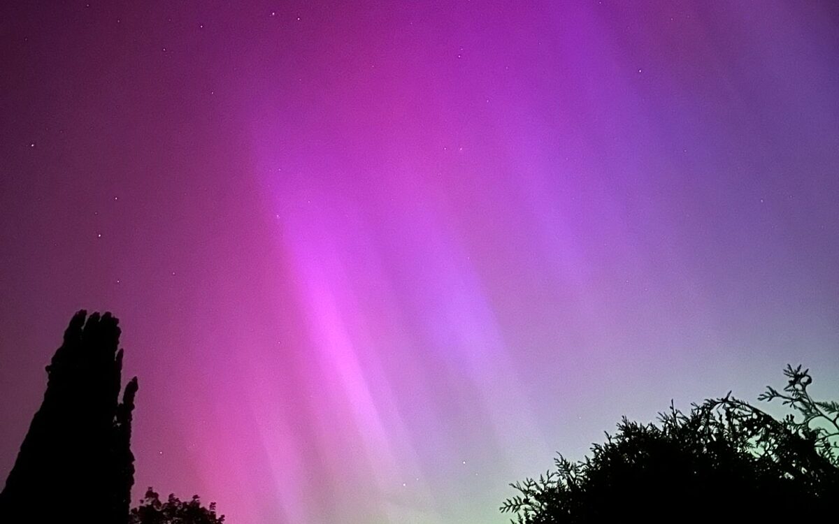 Melanie 49 1573 3124145 Sieboldshoehe 2 Melanie 49 1573 3124145 Sieboldshoehe 2