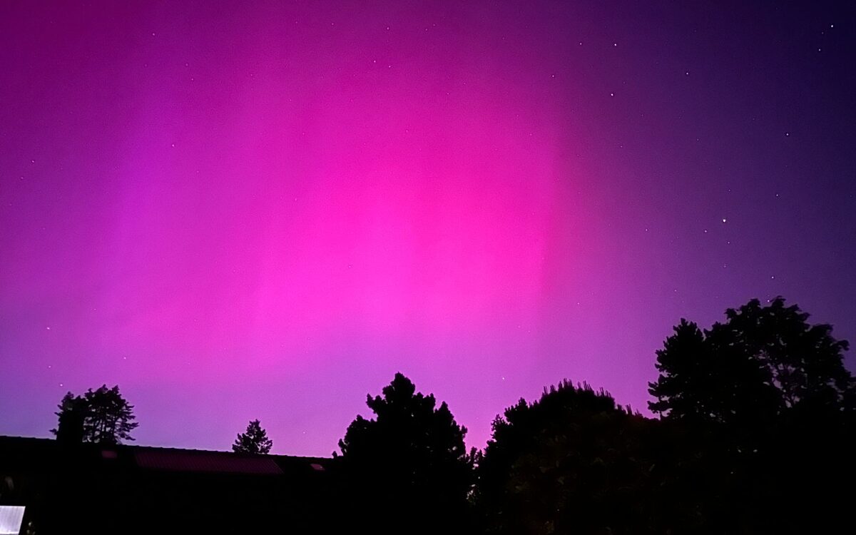 Melanie 49 1573 3124145 Sieboldshoehe Melanie 49 1573 3124145 Sieboldshoehe