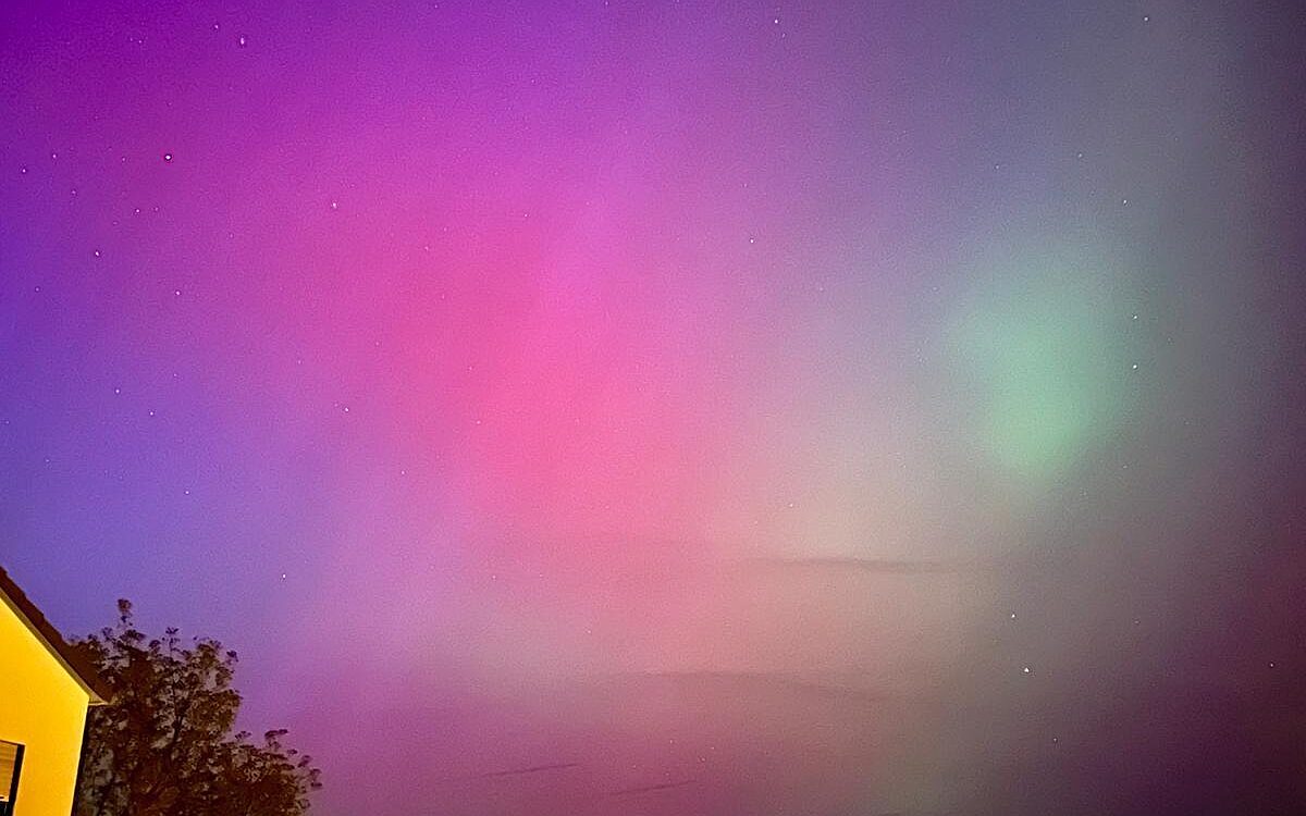 Michael 49 179 5033160 Grossrinderfeld 3 Michael 49 179 5033160 Grossrinderfeld 3