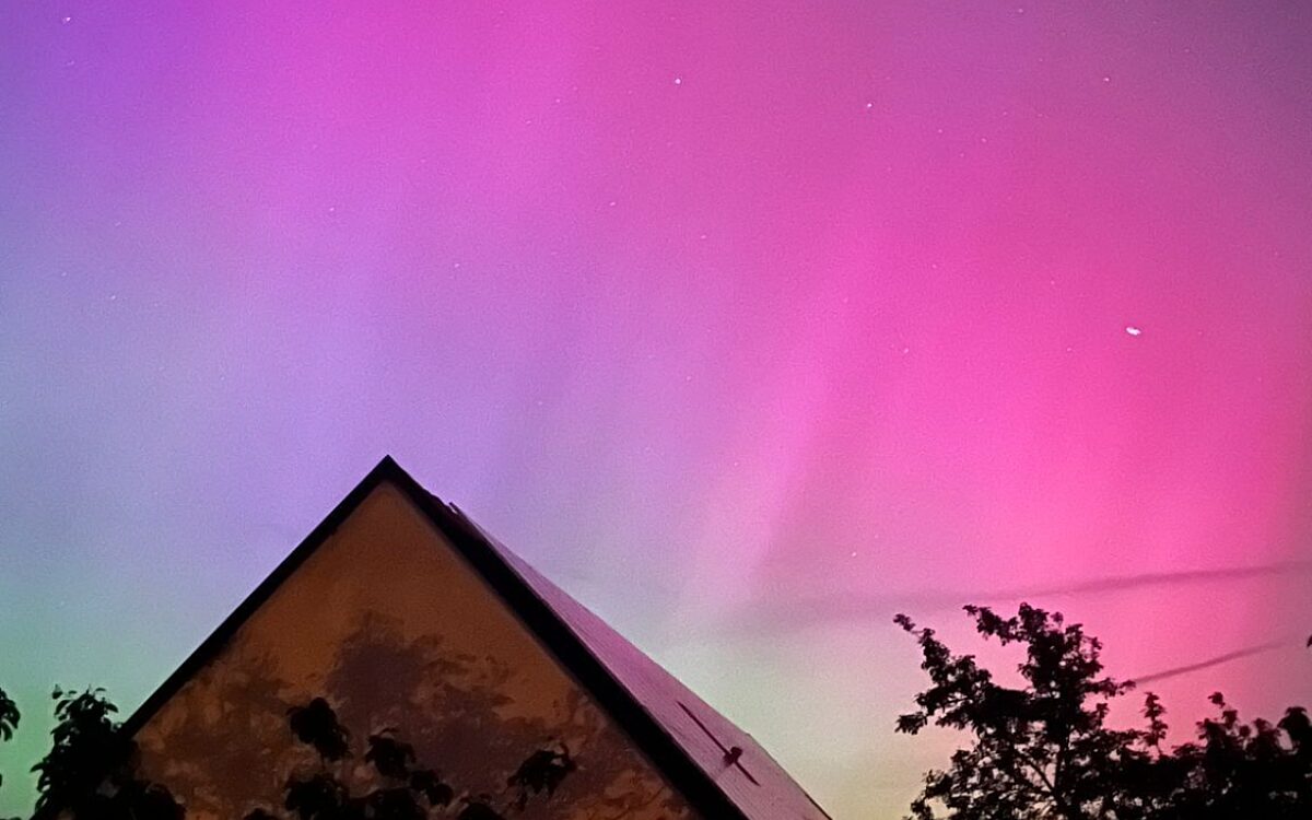 Sara 49 1515 0598953 Hausen Sara 49 1515 0598953 Hausen