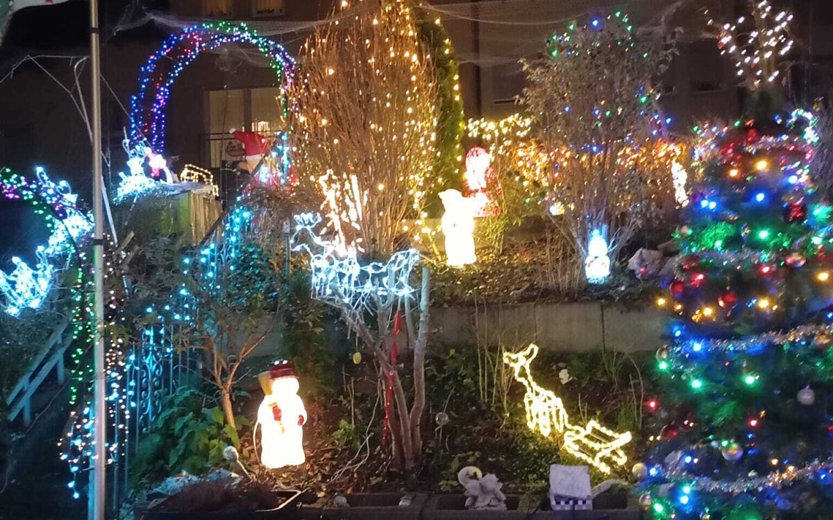 Whats App Image 2024 12 03 at 17 33 49 2 Whats App Image 2024 12 03 at 17 33 49 2