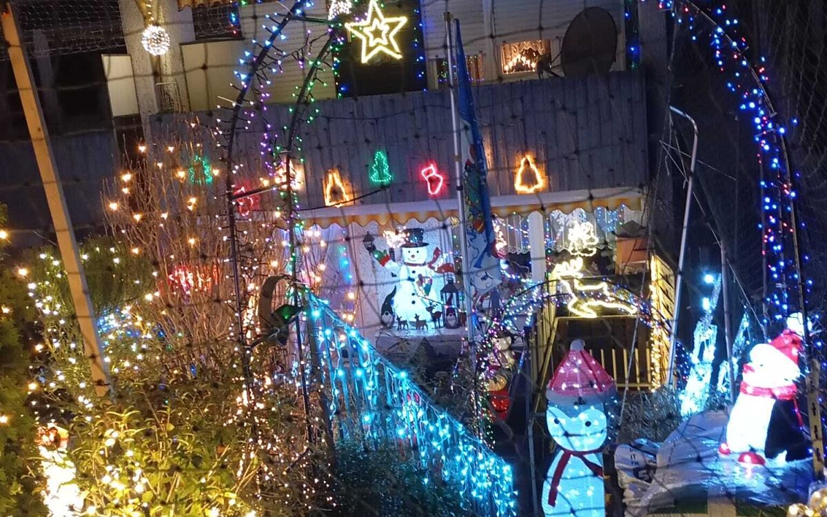 Whats App Image 2024 12 03 at 17 33 49 Whats App Image 2024 12 03 at 17 33 49