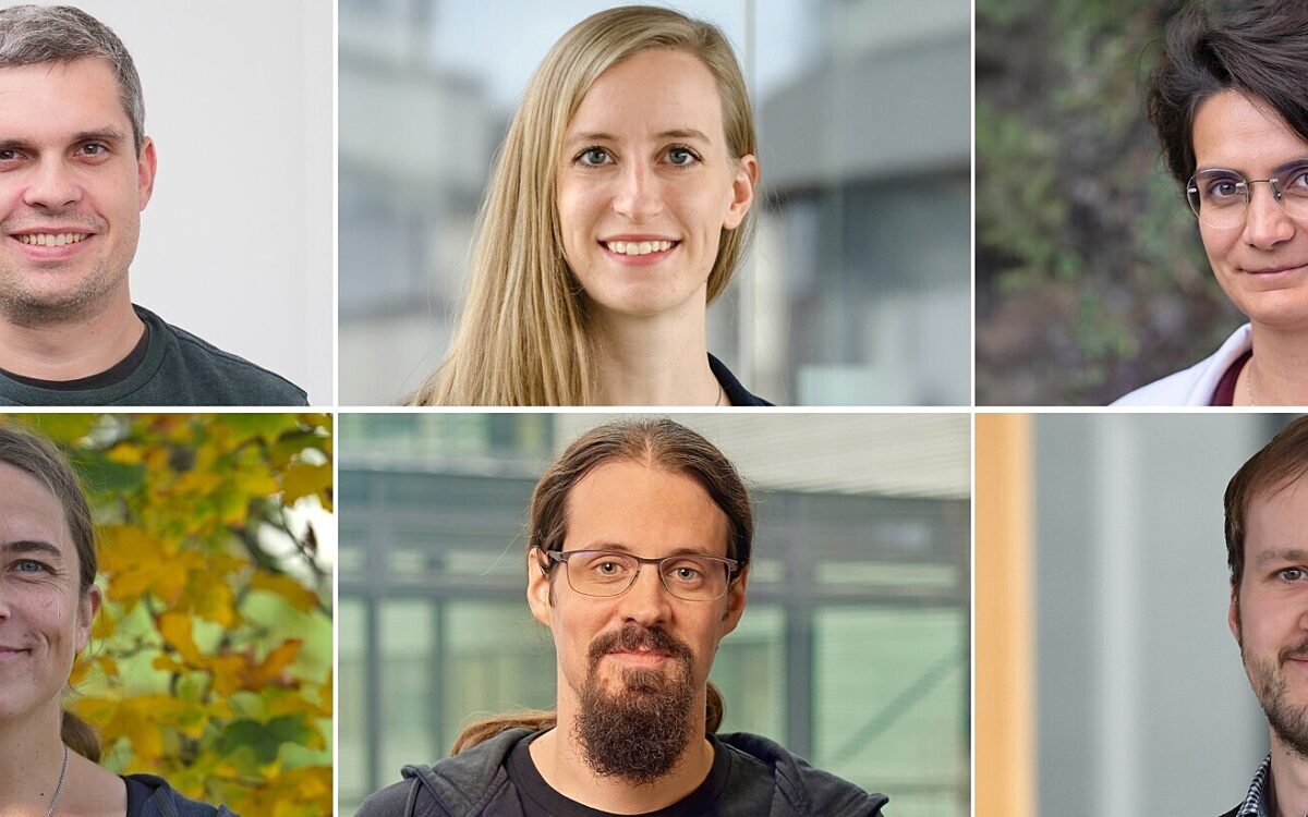 Starting Grants Starting Grants